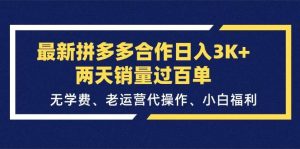 最新拼多多合作日入3K+两天销量过百单，无学费、老运营代操作、小白福利-宁率网络知识库