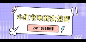 小红书电商实战营:小红书笔记带货和无人直播,24年6月新课-宁率网络知识库
