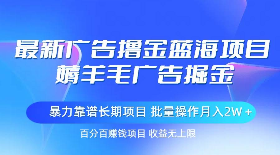 最新广告撸金蓝海项目，薅羊毛广告掘金 长期项目 批量操作月入2W＋-宁率网络知识库
