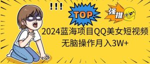 2024蓝海项目QQ美女短视频无脑操作月入3W+-宁率网络知识库
