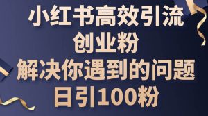 小红书高效引流创业粉，解决你遇到的问题，日引100粉-宁率网络知识库