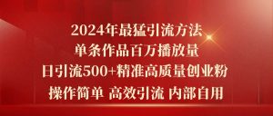 2024年最猛暴力引流方法,单条作品百万播放 单日引流500+高质量精准创业粉-宁率网络知识库