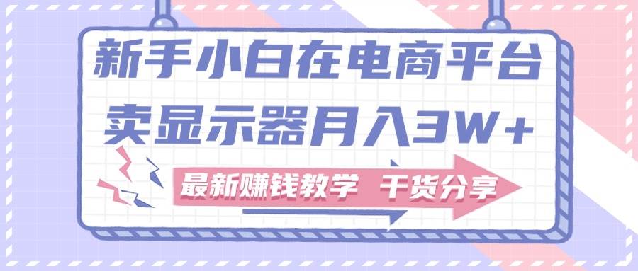 新手小白如何做到在电商平台卖显示器月入3W+，最新赚钱教学干货分享-宁率网络知识库