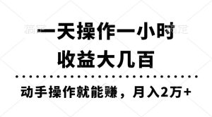 一天操作一小时，收益大几百，动手操作就能赚，月入2万+教学-宁率网络知识库