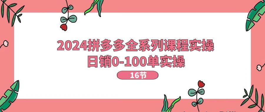 2024拼多多全系列课程实操，日销0-100单实操【16节课】-宁率网络知识库