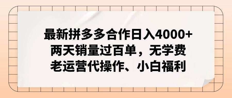 最新拼多多合作日入4000+两天销量过百单，无学费、老运营代操作、小白福利-宁率网络知识库