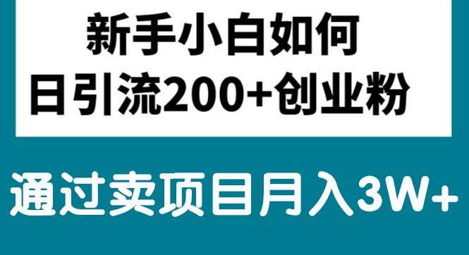 新手小白日引流200+创业粉,通过卖项目月入3W+-宁率网络知识库