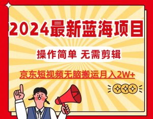 2024最新蓝海项目，无需剪辑，京东图文短视频无脑搬运月入2W+-宁率网络知识库