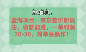 越早知道越能赚到钱的蓝海项目：京东大平台操作，一单利润20-30，简单…-宁率网络知识库
