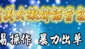 车载美女撒娇语音包，执行就出单，月入3000＋，小白看完课程就能马上实操-宁率网络知识库