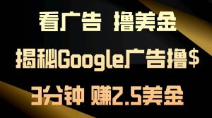 看广告，撸美金！3分钟赚2.5美金！日入200美金不是梦！揭秘Google广告…-宁率网络知识库