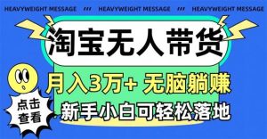 淘宝无人带货3.0高收益玩法，月入3万+，无脑躺赚，新手小白可落地实操-宁率网络知识库