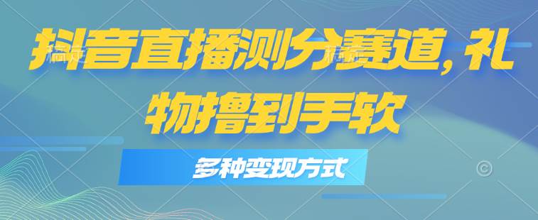 抖音直播测分赛道，多种变现方式，轻松日入1000+-宁率网络知识库