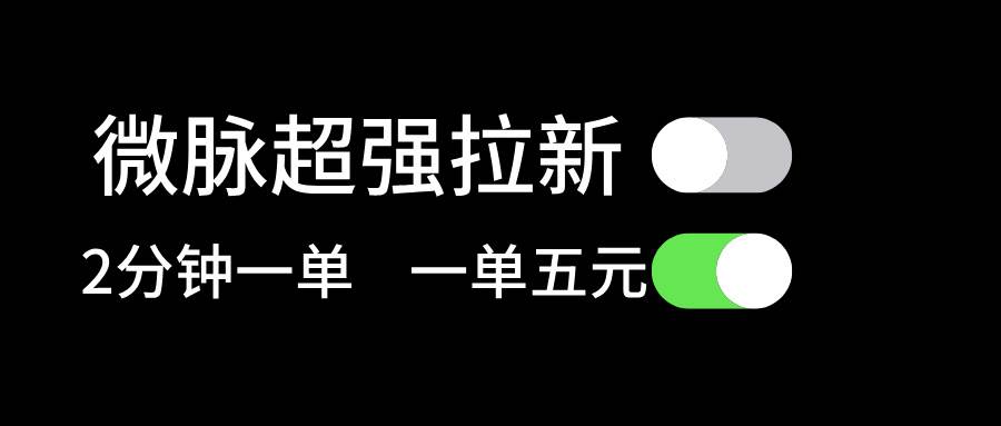 微脉超强拉新， 两分钟1单， 一单利润5块，适合小白-宁率网络知识库