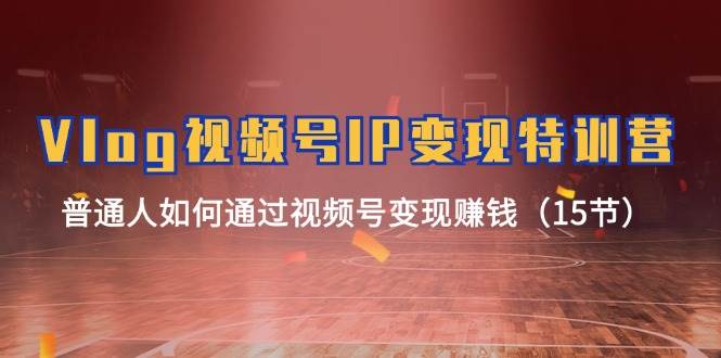 Vlog 视频号IP变现特训营，普通人如何通过视频号变现赚钱（15节）-宁率网络知识库