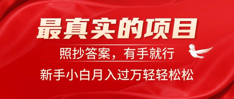 最真实的项目，照抄答案，有手就行，新手小白月入过万轻轻松松-宁率网络知识库