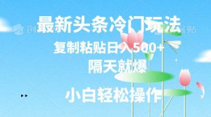 最新头条冷门玩法，隔天就爆，复制粘贴日入500+-宁率网络知识库