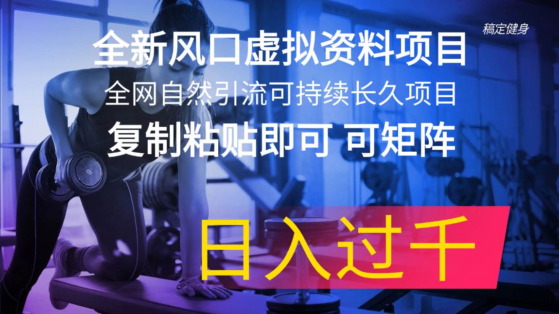 全新风口虚拟资料项目 全网自然引流可持续长久项目 复制粘贴即可可矩阵…-宁率网络知识库