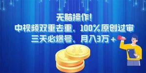 无脑操作!中视频双重去重,100%原创过审,三天必爆号,月入3万+-宁率网络知识库