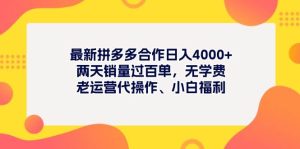 最新拼多多项目日入4000+两天销量过百单，无学费、老运营代操作、小白福利-宁率网络知识库