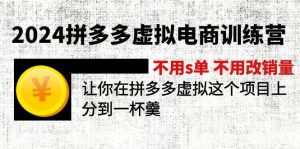 2024拼多多虚拟电商训练营 不用s单 不用改销量  在拼多多虚拟上分到一杯羹-宁率网络知识库