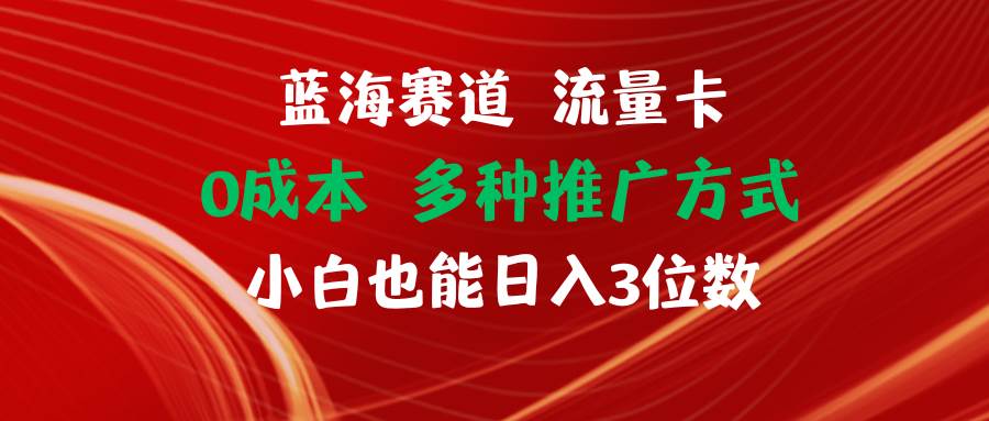 蓝海赛道 流量卡 0成本 小白也能日入三位数-宁率网络知识库