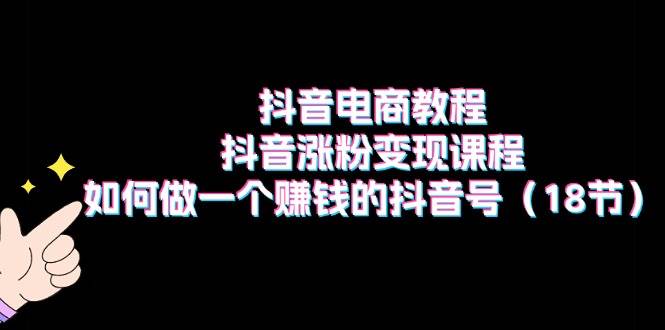 抖音电商教程：抖音涨粉变现课程：如何做一个赚钱的抖音号（18节）-宁率网络知识库