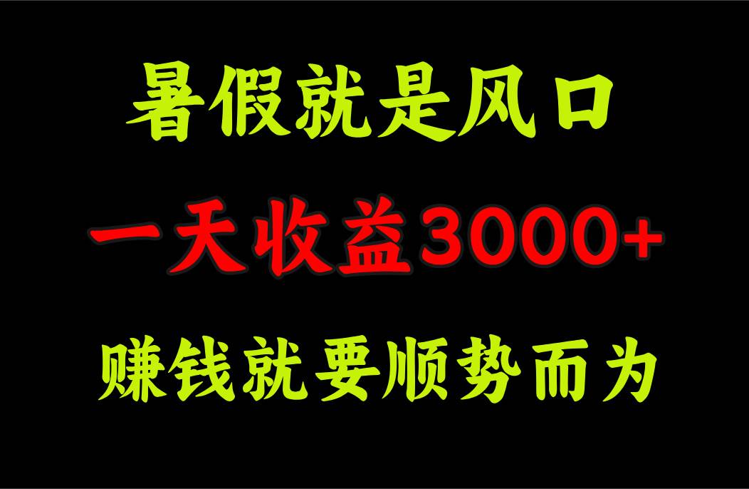 一天收益3000+ 赚钱就是顺势而为，暑假就是风口-宁率网络知识库