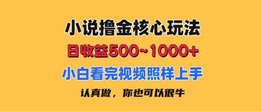 小说撸金核心玩法，日收益500-1000+，小白看完照样上手，0成本有手就行-宁率网络知识库