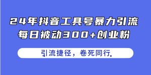 24年抖音工具号暴力引流,每日被动300+创业粉,创业粉捷径,卷死同行-宁率网络知识库