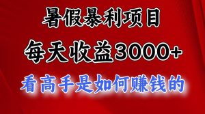 暑假暴利项目，每天收益3000+ 努努力能达到5000+，暑假大流量来了-宁率网络知识库