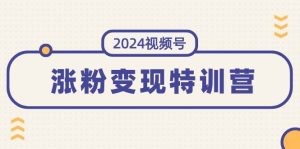 2024视频号-涨粉变现特训营:一站式打造稳定视频号涨粉变现模式(10节)-宁率网络知识库