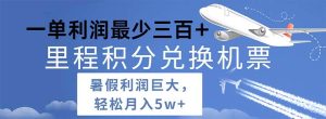 2024暑假利润空间巨大的里程积分兑换机票项目，每一单利润最少500-宁率网络知识库