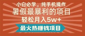 小白必学，纯手机操作，暑假最暴利的项目轻松月入5w+最火热赚钱项目-宁率网络知识库