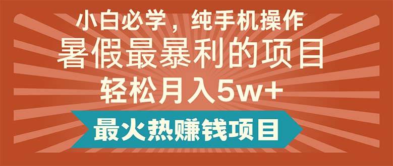 小白必学，纯手机操作，暑假最暴利的项目轻松月入5w+最火热赚钱项目-宁率网络知识库
