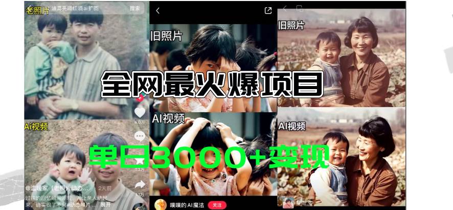 全网爆火的AI让老照片动起来教程，蹭热点日赚3000+，内含免费工具一键…-宁率网络知识库