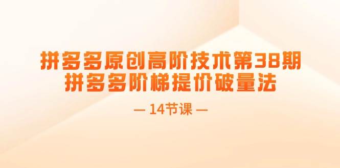 拼多多原创高阶技术第38期，拼多多阶梯提价破量法（14节课）-宁率网络知识库