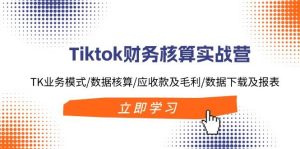 Tiktok财务核算实战营:TK业务模式/数据核算/应收款及毛利/数据下载及报表-宁率网络知识库