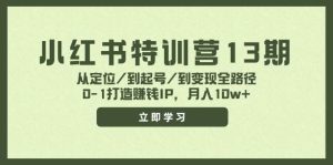 小红书特训营13期,从定位/到起号/到变现全路径,0-1打造赚钱IP,月入10w+-宁率网络知识库