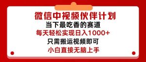微信中视频伙伴计划,仅靠搬运就能轻松实现日入500+,关键操作还简单,…-宁率网络知识库