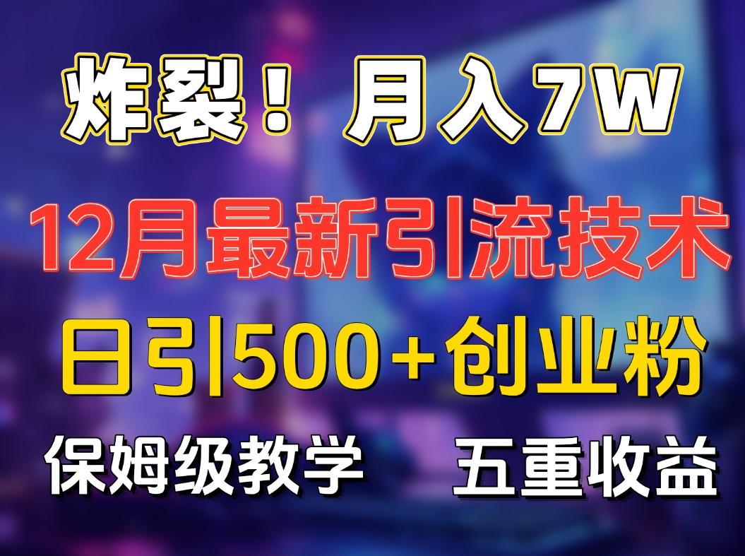 炸裂！月入7W+揭秘12月最新日引流500+精准创业粉，多重收益保姆级教学-宁率网络知识库