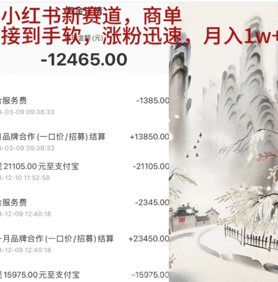 小红书新赛道，商单接到手软，涨粉迅速，一个月1w+-宁率网络知识库