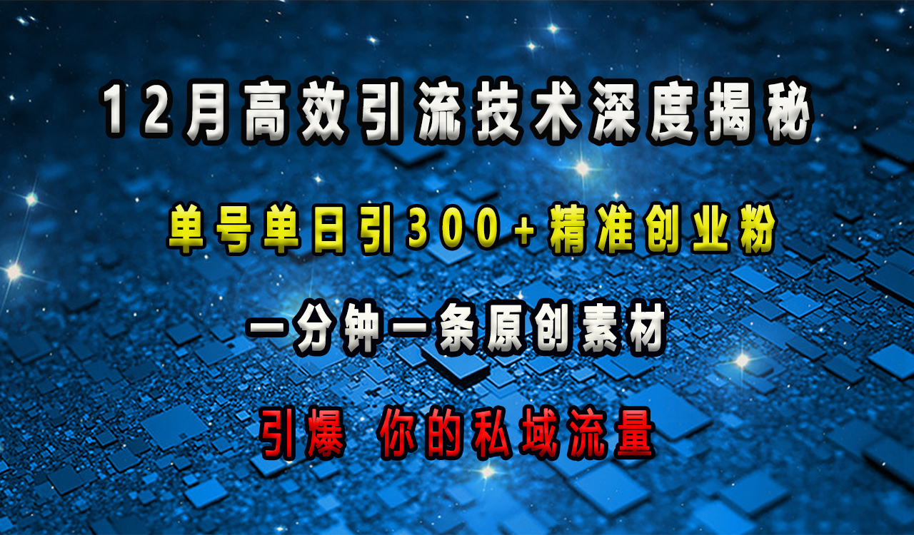 12月高效引流技术深度揭秘 ，单号单日引300+精准创业粉，一分钟一条原创素材，引爆你的私域流量-宁率网络知识库