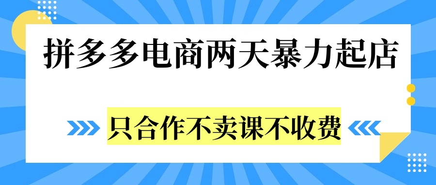 拼多多两天暴力起店，只合作不卖课不收费-宁率网络知识库