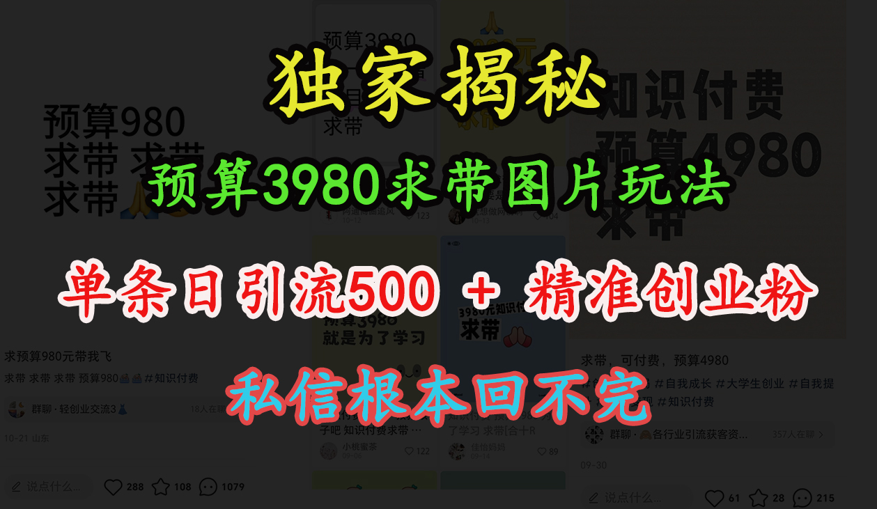 “小红书”预算3980求带 图片玩法，单条日引流500+精准创业粉，私信根本回不完-宁率网络知识库