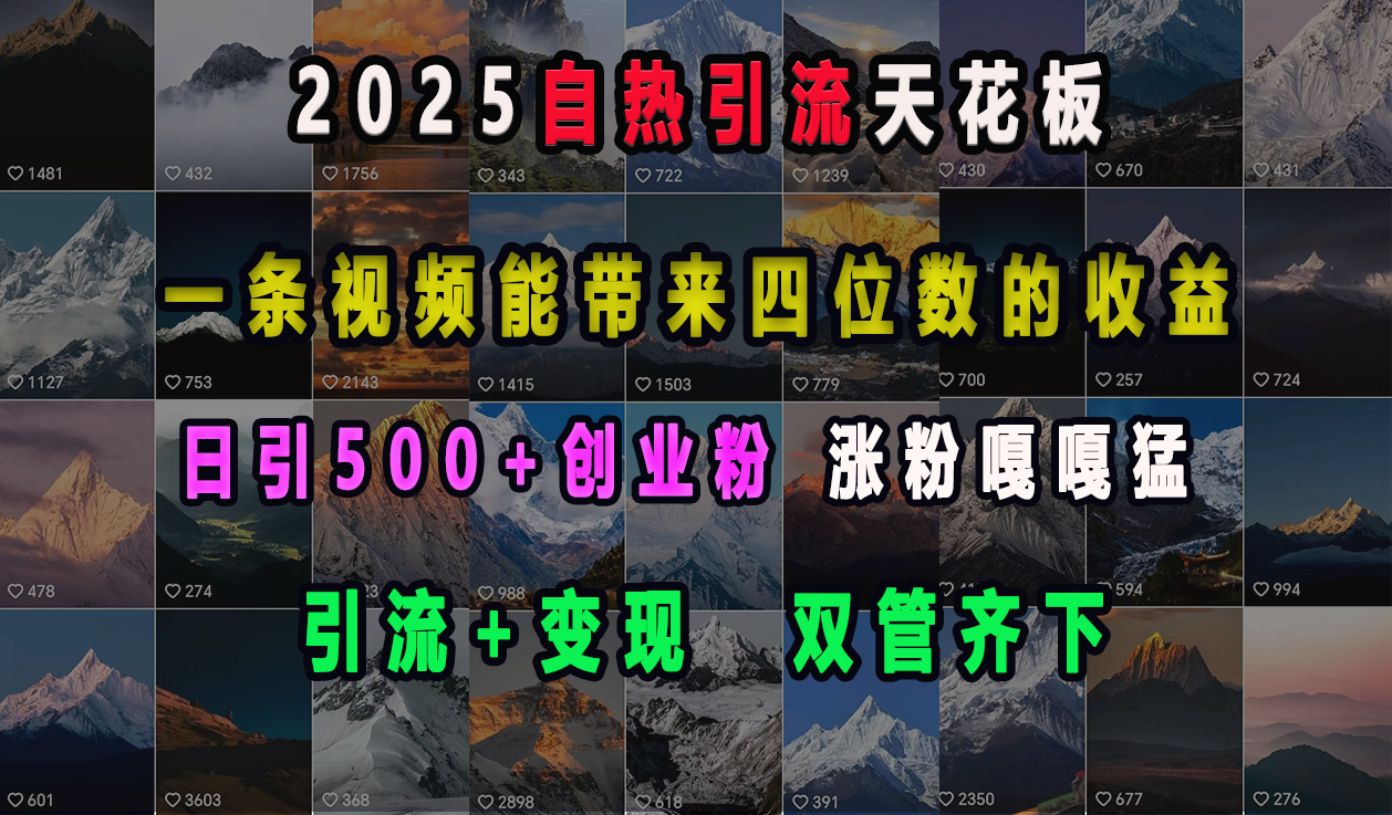 2025自热引流天花板，一条视频能带来四位数的收益，引流+变现双管齐下，日引500+创业粉，涨粉嘎嘎猛-宁率网络知识库