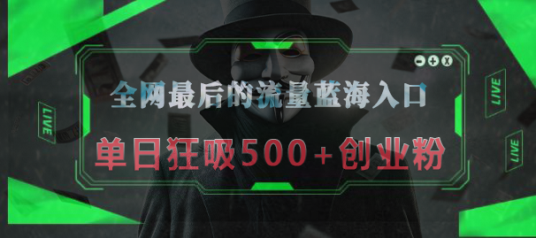 全网最后的流量蓝海入口，半小时引流50+创业粉，单日狂吸500+创业粉-宁率网络知识库