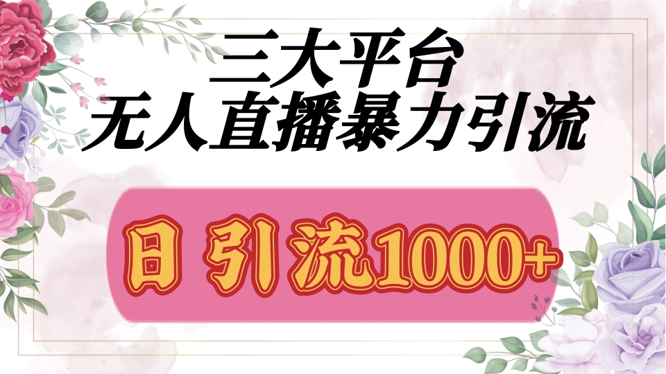 抖音，快手，视频号全平台通用，无人直播引流法，利用图片,模板,整套话术挂机全天支持矩阵操作，无限设备多开，超暴力引流，1000+高质量精准创业粉-宁率网络知识库