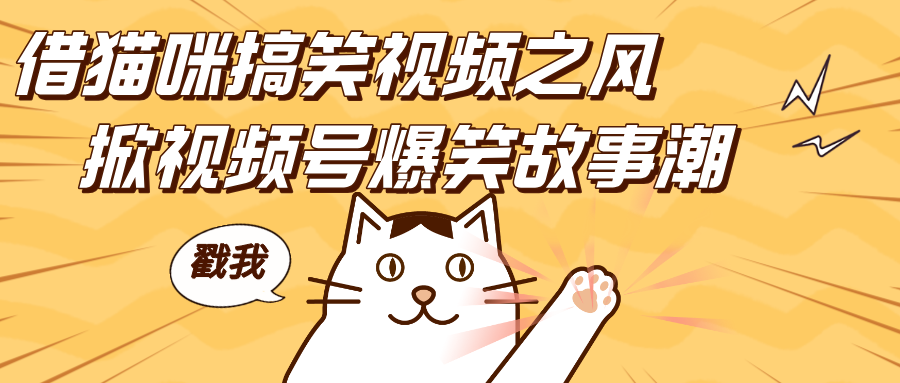 借猫咪搞笑视频之风，掀视频号爆笑故事潮，轻松日赚四位数，开启无门槛赚钱新体验！-宁率网络知识库