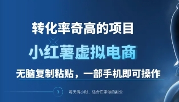 一单49.9，转化率奇高的项目，冷门暴利的小红书虚拟电商-宁率网络知识库